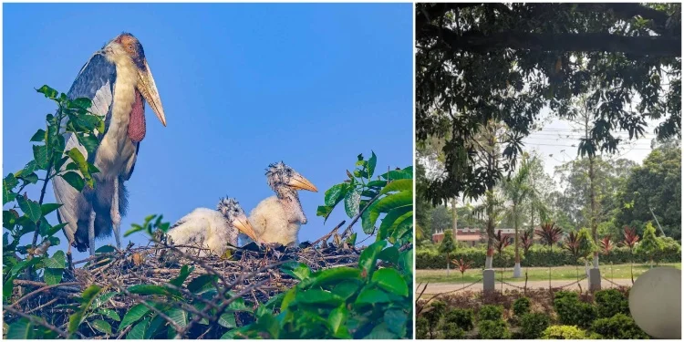 Bhagalpur Botanical Garden