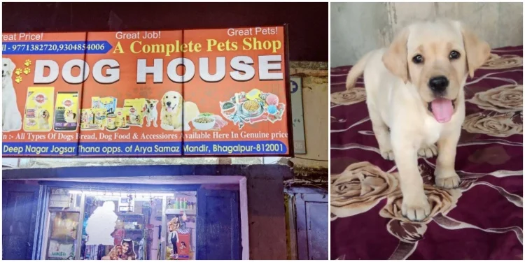 Dog House (Pet Clinics in Bhagalpur)
