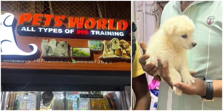 Pets World (Pet Clinics in Bhagalpur)
