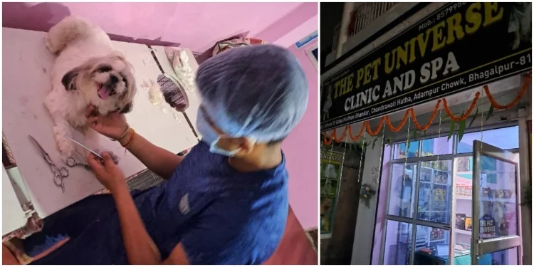 The Pet Universe Clinic (Pet Clinics in Bhagalpur)