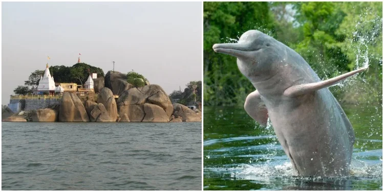 Vikramshila Dolphin Sanctuary