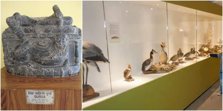 Bhagalpur Museum